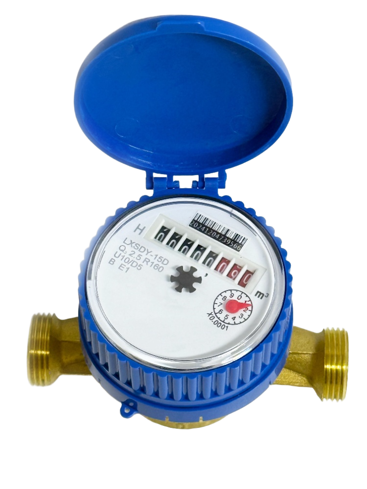 Single-jet, dry type, vane wheel water meter R160